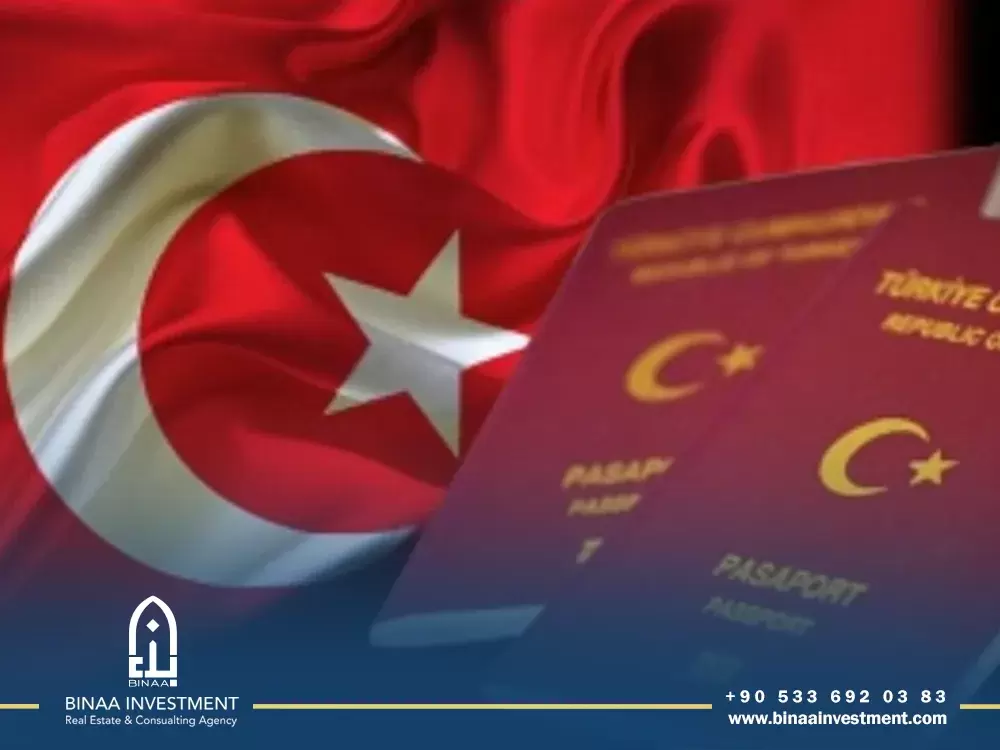 How to Apply for Turkish Citizenship Online
