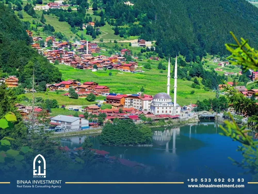 Apartments for sale in Trabzon